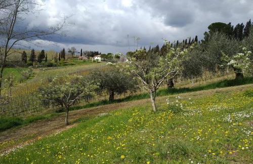 Agriturismo Ca' de' Gatti - Photo 16