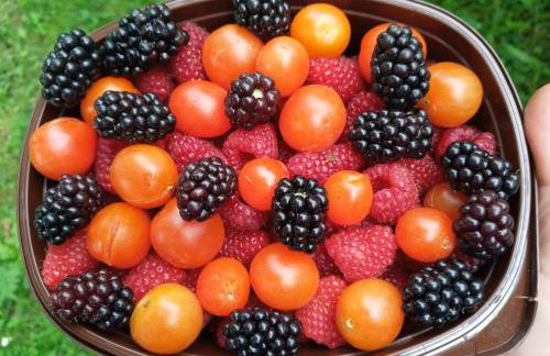 Agroturystyka Pod Dębem - Foto 26