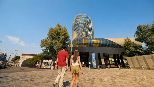 Bordeaux CityPass - Foto 5