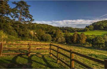 Owlpen Manor Cottages - Foto 30