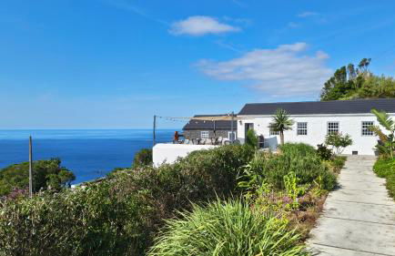 Bioma Adega - Escala Gourmet - Photo 21