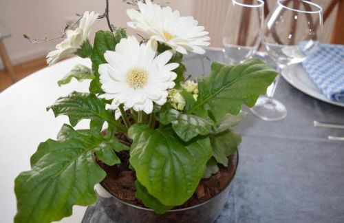 Ludwig XIV - Foto 21