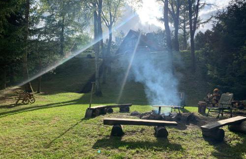 Dom z plażą nad jeziorem Dejnowa - Foto 13