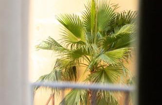 La Maison des Lamanon - Foto 12