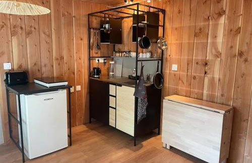 Studio bois avec terrasse et jardin bassin et océan - Foto 1