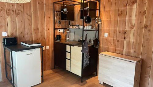 Studio bois avec terrasse et jardin bassin et océan - Foto 1