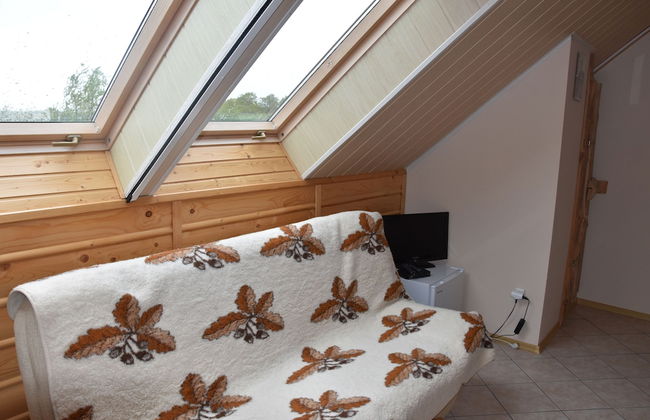 Agroturystyka u przyjaciol Soni - Foto 10