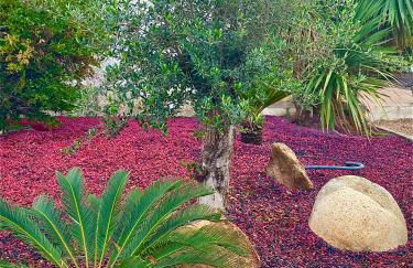 Campo Vecchio Dracena et Piscine - Foto 14
