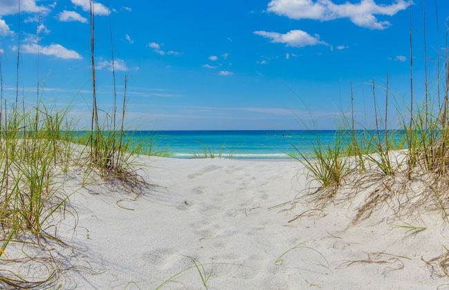 219 Palmetto Pl 1 - Tropical Paradise - Foto 27