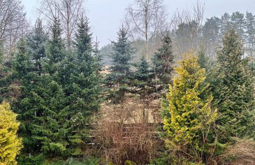 Bezkresne- Domy w Sidorach - Foto 68