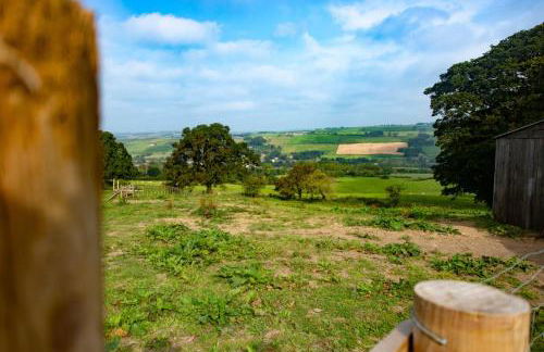 The Kennels - Foto 6