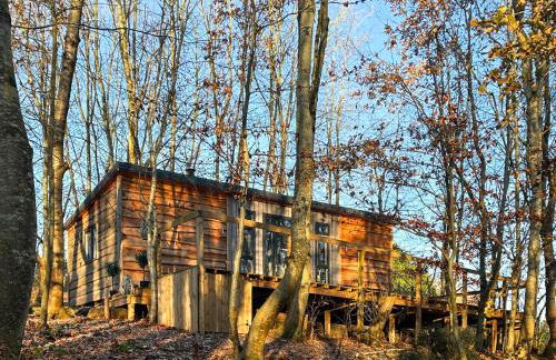 Ty Cwtch Cabin - Ukc7147 - Foto 1