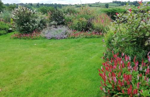 Country Home with Gardens - Foto 9