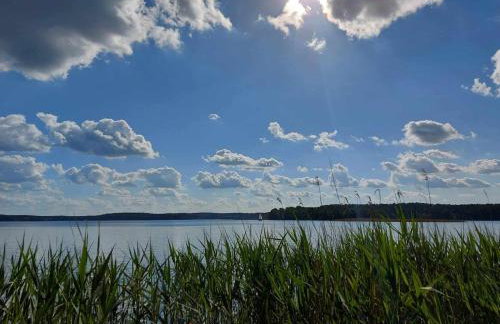 Cztery Pory Warmii Pluski pokoje do wynajęcia - Foto 9