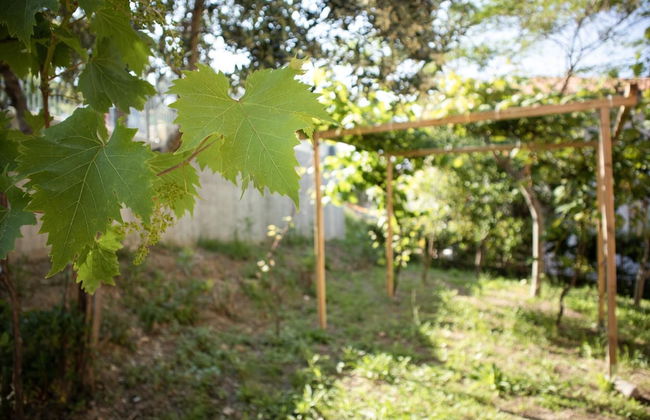 Sogno di Mare in Lido Riccio - Foto 11