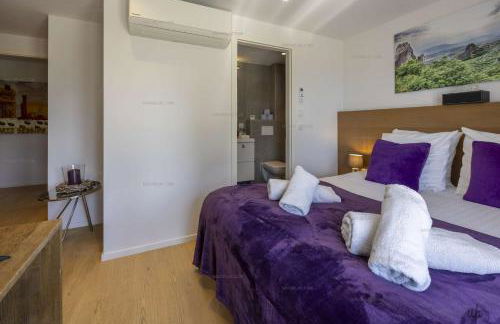 Lot appartements Adret et Ubac - Foto 7