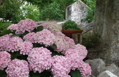 Vila Casa Do Sobral - Foto 44