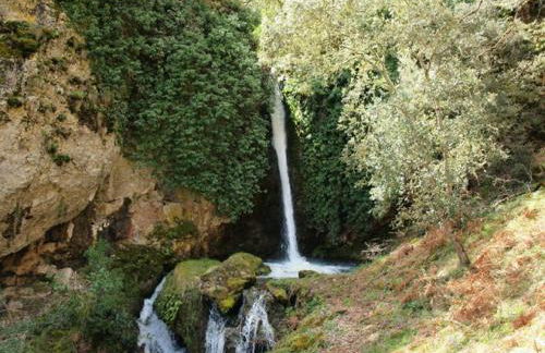 Apartamentos La Condesa - Foto 51