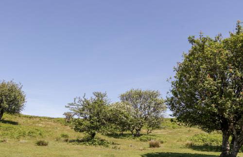 The Outlook - Foto 33