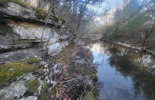 Hee Haw on the Creek - Foto 9