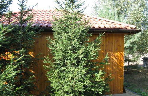 Apisoltysowka - Foto 10