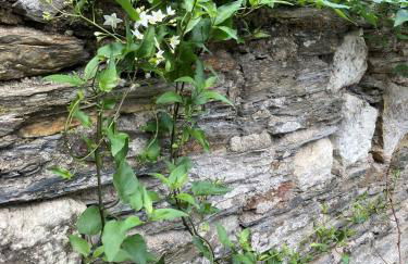 La Maison du Cocher - Studio climatisé en Hypercentre - Photo 14