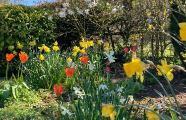 Summer House, Glassonby - Foto 18