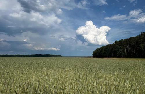 Ferienhaus Diana mit Sauna und Whirlpool Polnische Ostsee - Photo 77
