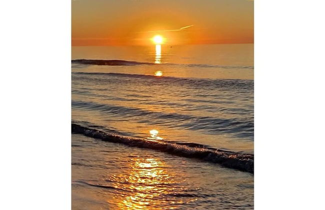 South of France Modern Retreat - Foto 28