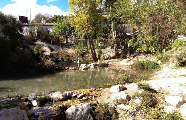 El Palacil - Foto 29