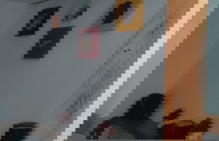 parrot house san antonio - Photo 21