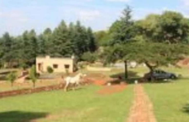 The Cradle Rest - Foto 31