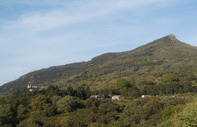 Agriturismo Bosco Pianetti - Foto 32