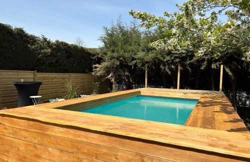 La Salamandre de l Olivier - Le Laurier - Foto 19