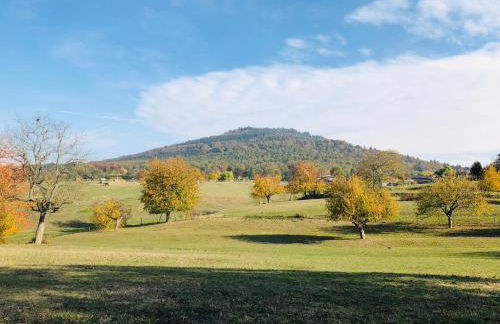 Schwarzwald Boutique-Apartment HAUS REHGARTEN - Foto 52