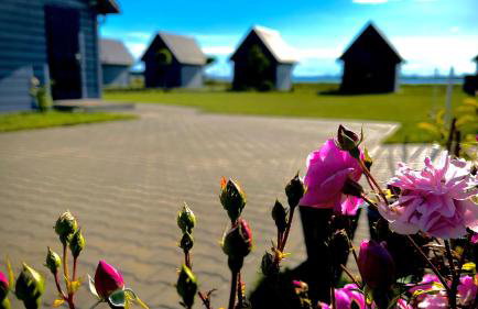 Słoneczna Przystań - Foto 40