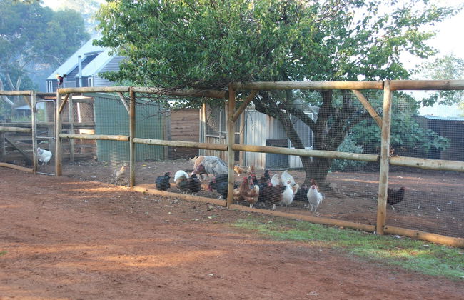 Pump Hill Farm Cottages - Photo 41