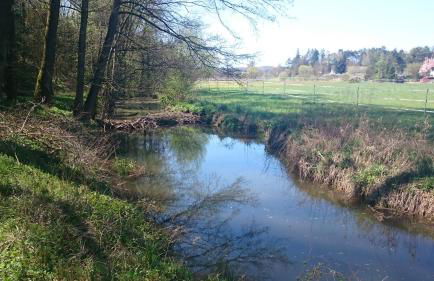 Große Ferienwohnung auf dem Pferdehof Nähe Bamberg, Coburg, Schweinfurt - Foto 15