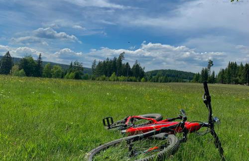 Ferienapartments Erzpanorama - Foto 43