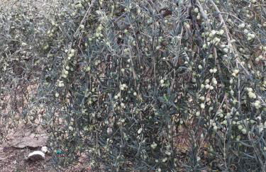 Casa del Lavadero - Foto 38