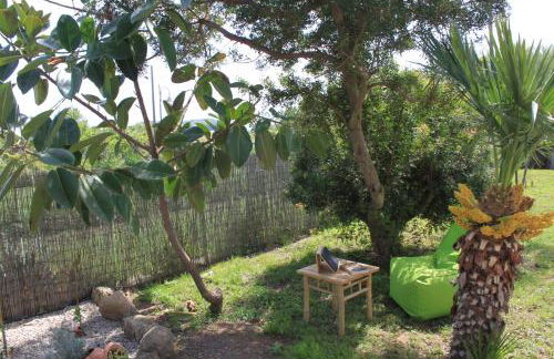 Calanave 10 - Foto 29