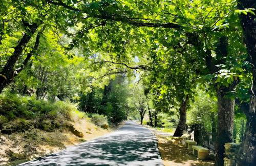 Apartamento Rural Mi Pequeña Lulú TR-CC-00564 - Foto 27