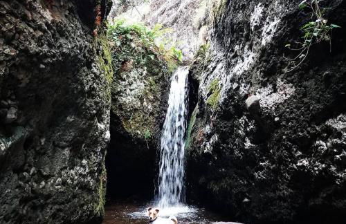 Anguiano Habitaciones rurales con baño privado - Foto 5