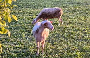 River side house - Foto 16