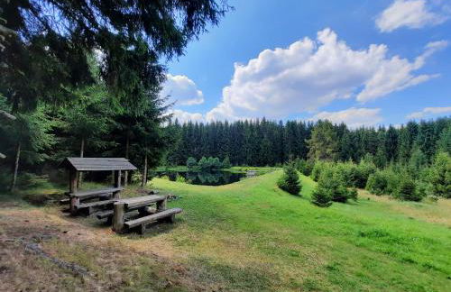 Ferienhaus am Erzgebirgskamm - Foto 19