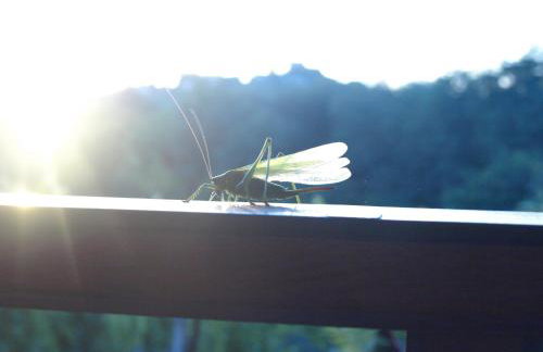 Holiday Home Vitis - Foto 37