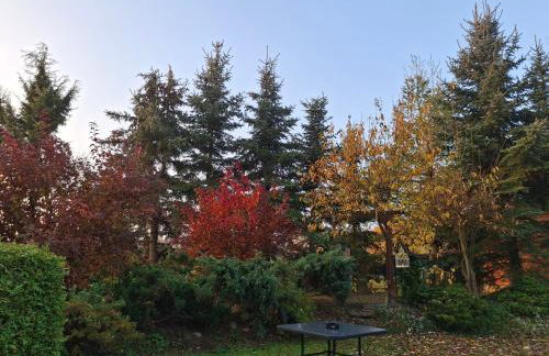 Pod Wierzbą Apartament na Kaszubach - Foto 29