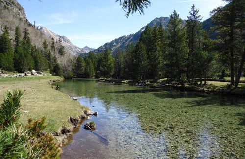 Apartaments La Llucana - Foto 49