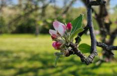 Relax House Samardzic - Foto 3