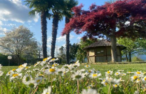 Residence Nonna Giuseppina - Foto 61